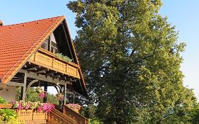 Country House Apat