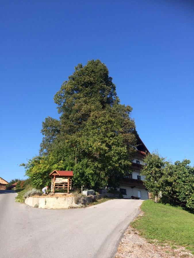Country House Apat Sostanj Extérieur photo