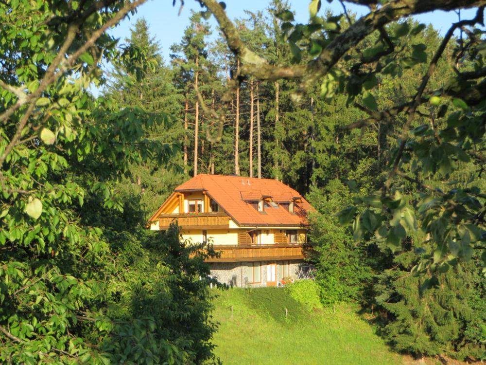 Country House Apat Sostanj Extérieur photo
