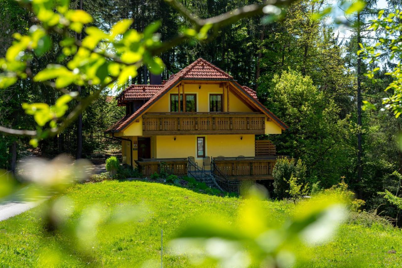 Country House Apat Sostanj Extérieur photo