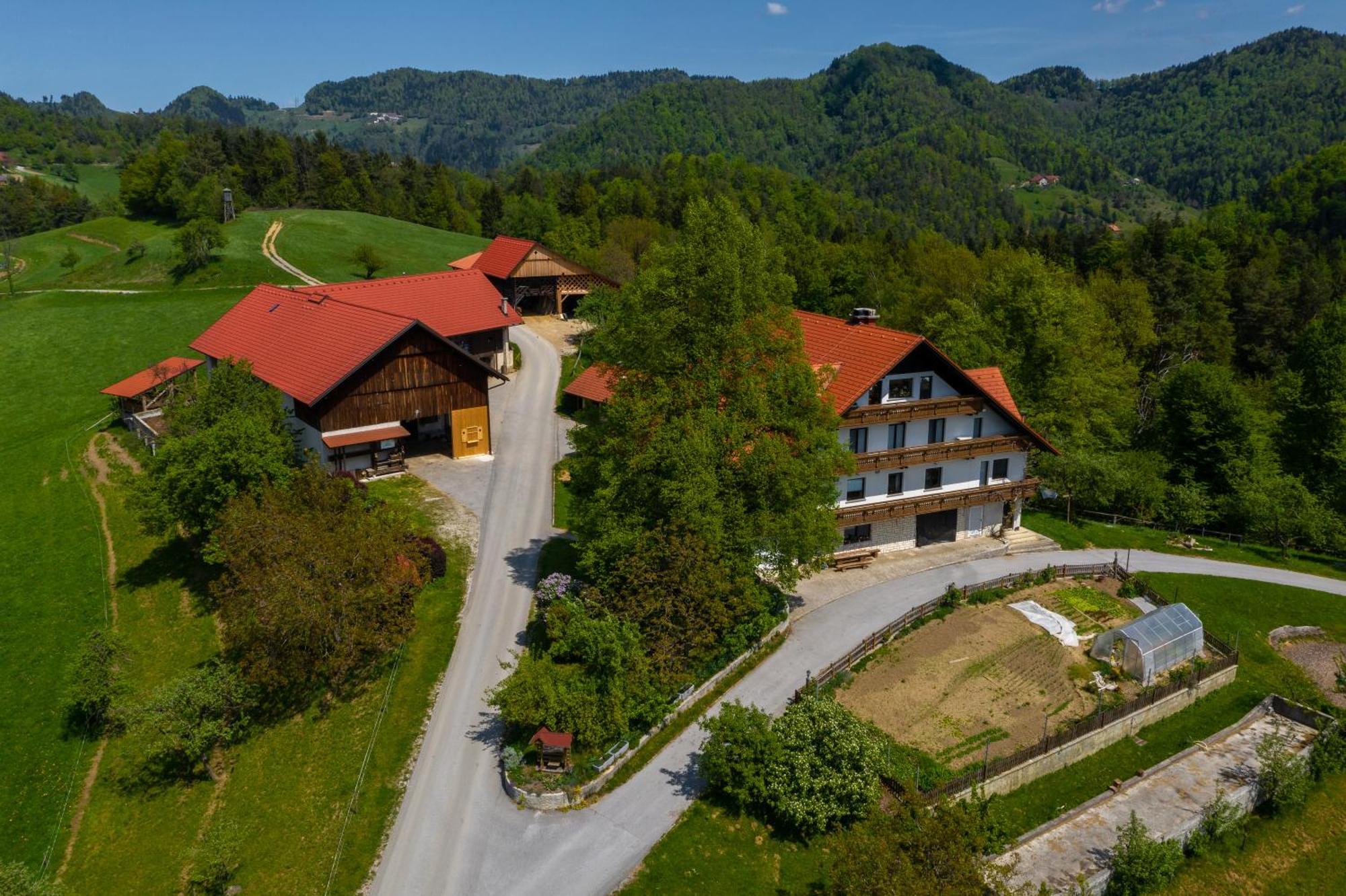 Country House Apat Sostanj Extérieur photo