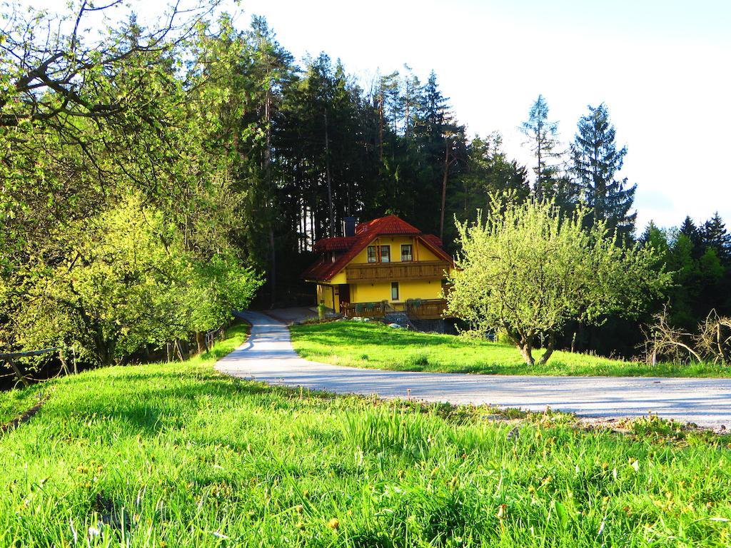 Country House Apat Sostanj Extérieur photo